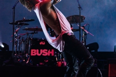 Bush-The-Altimate-10-of-15