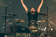 Bush-The-Altimate-12-of-15