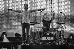 Bush-The-Altimate-9-of-15