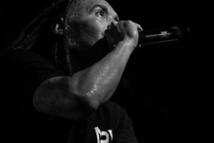 Nonpoint (13 of 35)